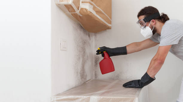 Professional Bathroom Mold Removal technician working in Richboro, PA
