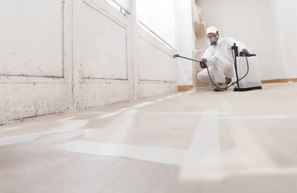 24/7 Emergency Bathroom Mold Removal experts in Richboro, PA