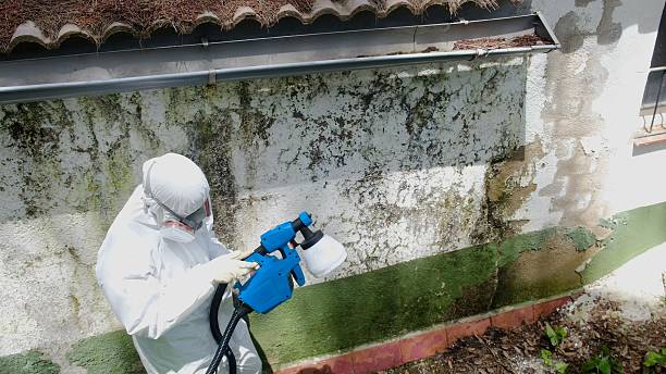 Top rated local Bathroom Mold Removal specialists in Richboro, PA